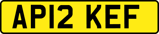 AP12KEF