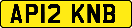 AP12KNB