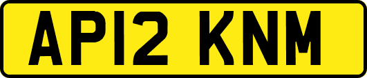 AP12KNM