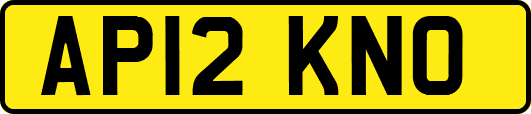 AP12KNO