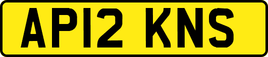 AP12KNS
