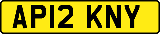 AP12KNY