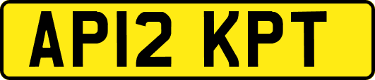 AP12KPT