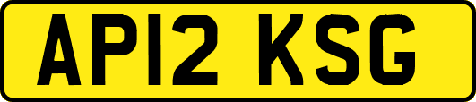 AP12KSG