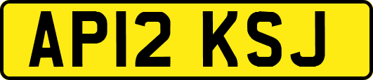 AP12KSJ