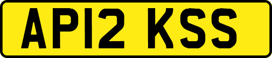 AP12KSS