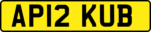 AP12KUB