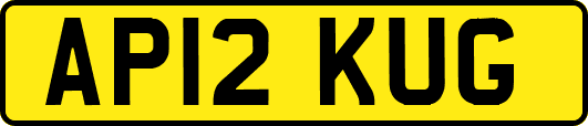 AP12KUG