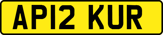 AP12KUR