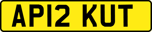 AP12KUT