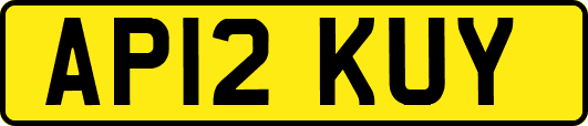 AP12KUY