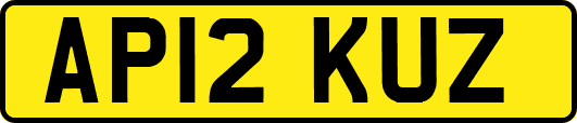 AP12KUZ
