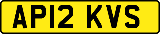 AP12KVS