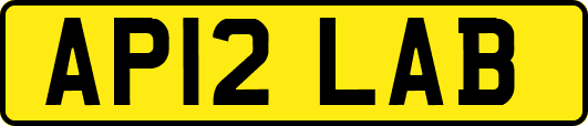 AP12LAB