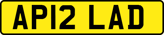 AP12LAD