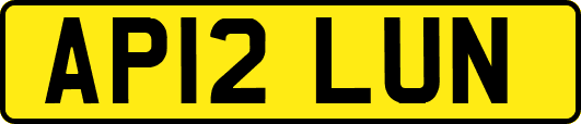AP12LUN