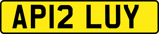 AP12LUY
