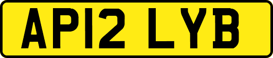AP12LYB