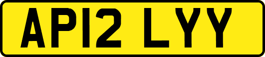 AP12LYY