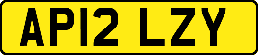 AP12LZY