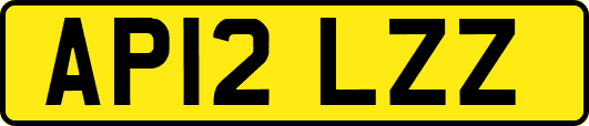 AP12LZZ