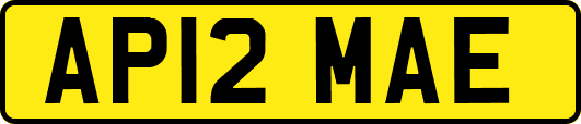 AP12MAE