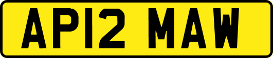 AP12MAW