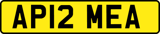 AP12MEA