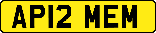 AP12MEM