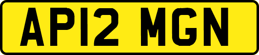 AP12MGN