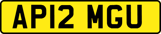 AP12MGU