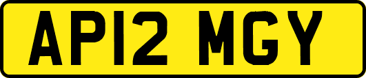 AP12MGY