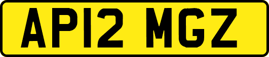 AP12MGZ