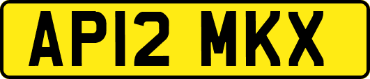 AP12MKX