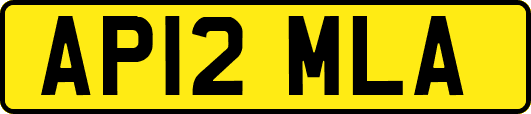 AP12MLA