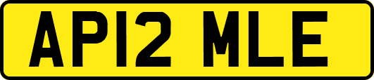 AP12MLE