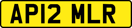 AP12MLR