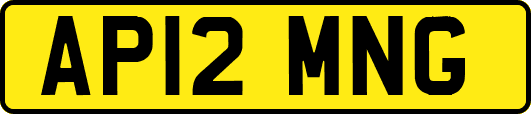 AP12MNG