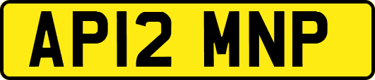 AP12MNP