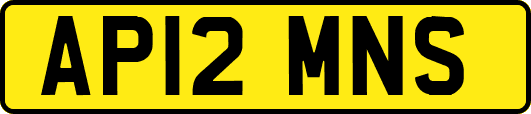 AP12MNS