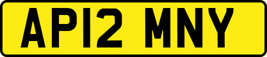 AP12MNY