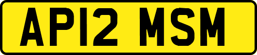 AP12MSM