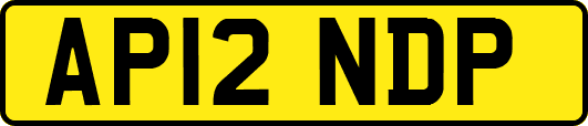 AP12NDP