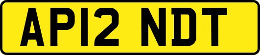 AP12NDT