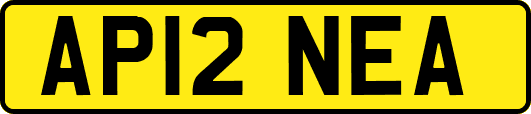 AP12NEA