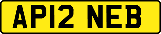 AP12NEB