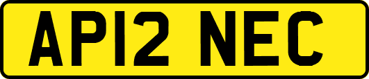 AP12NEC