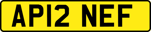 AP12NEF