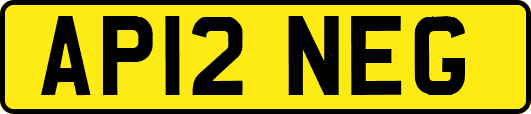 AP12NEG