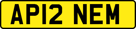 AP12NEM